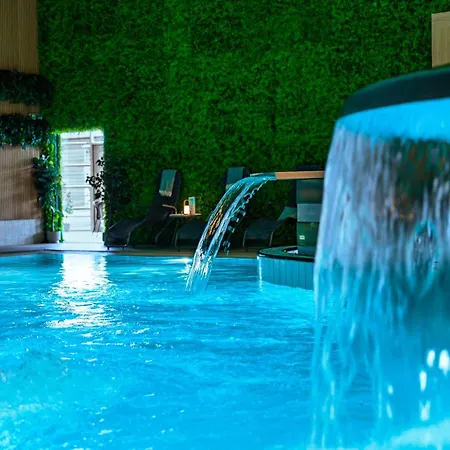 Hotel Viking Aqua Spa & Wellness-2